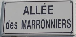 Monts-sur-Guesnes Monument aux Morts Allee des Marronniers